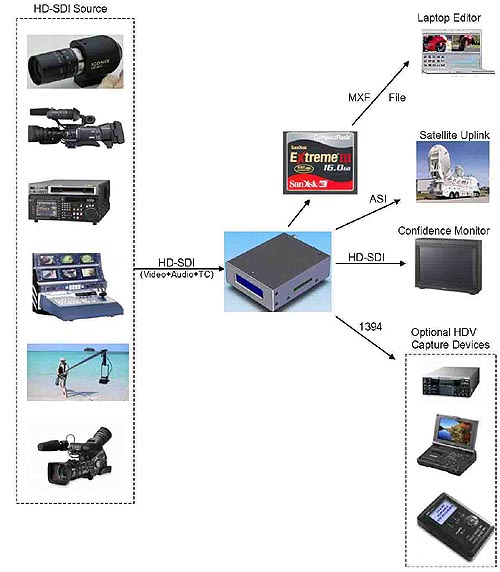 XDR Schema